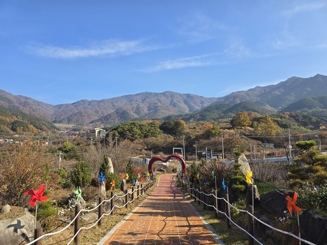 산수유 열매가 익어가는 산수유 마을길