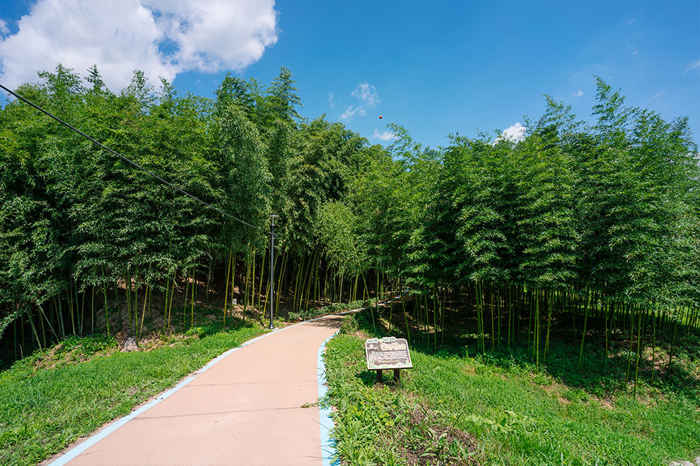 Seomjin River Great Forest Road and Healing Ecological Trail